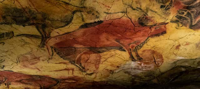 Visita guidata della Neocueva e del Museo di Altamira