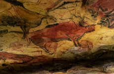 Visita guiada pela Neocueva e Museu de Altamira