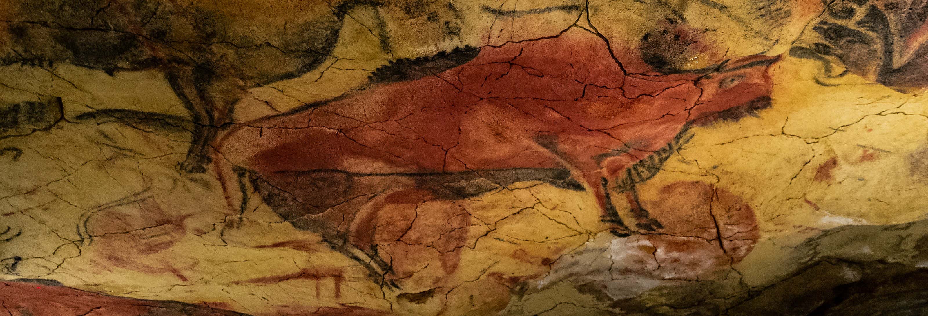 Visita guidata della Neocueva e del Museo di Altamira