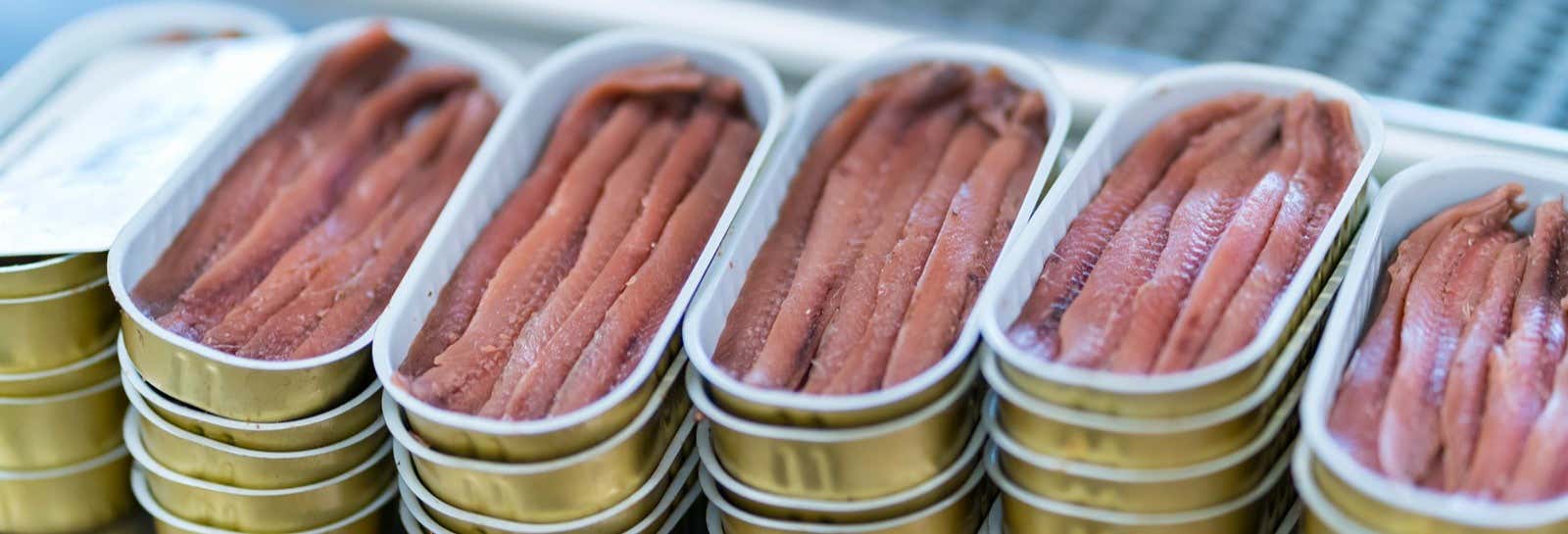 Visita a una fabbrica di acciughe con degustazione