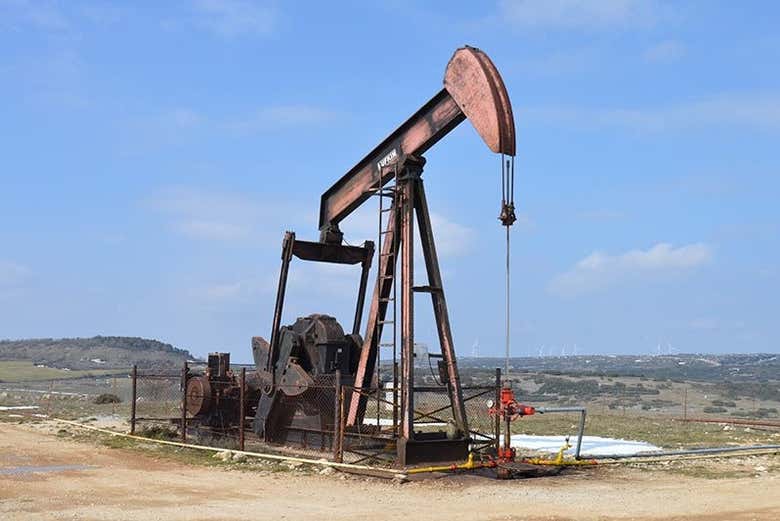 Imagen 5
