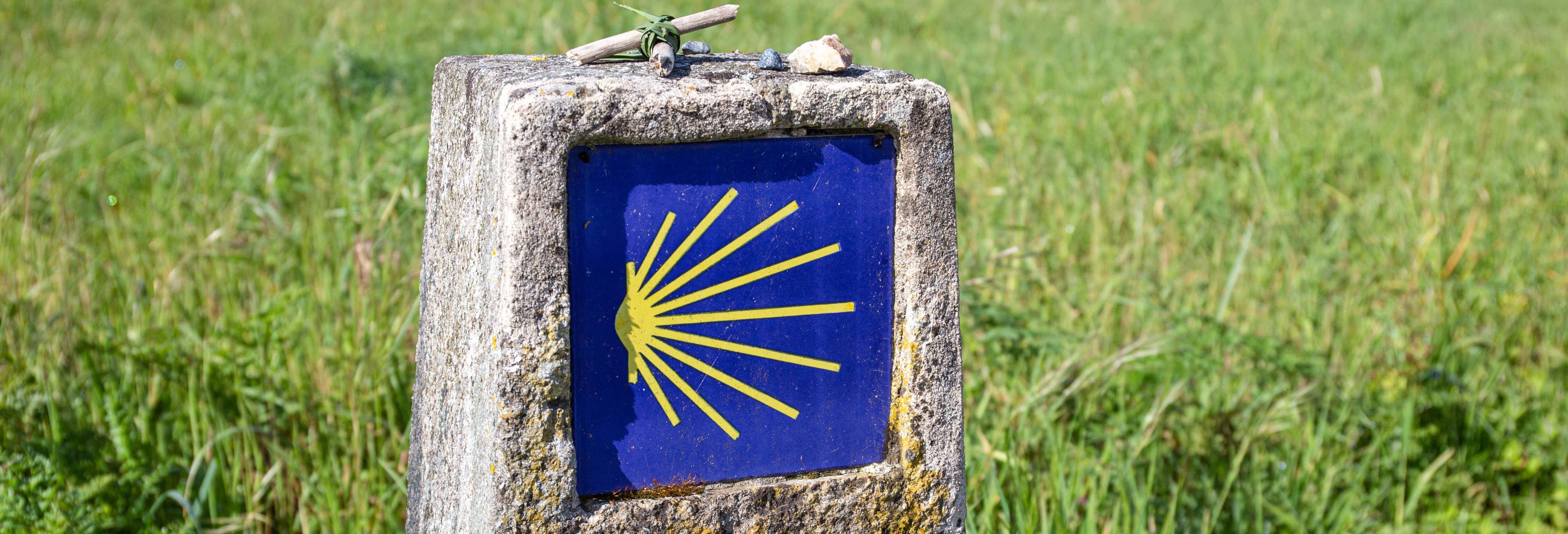 Cammino di Santiago francese in 7 giorni