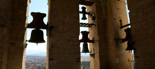 Tour por la Catedral y su torre + Entrada al Palacio Episcopal