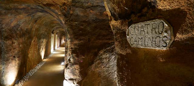 Visita guidata alle cantine De Alberto