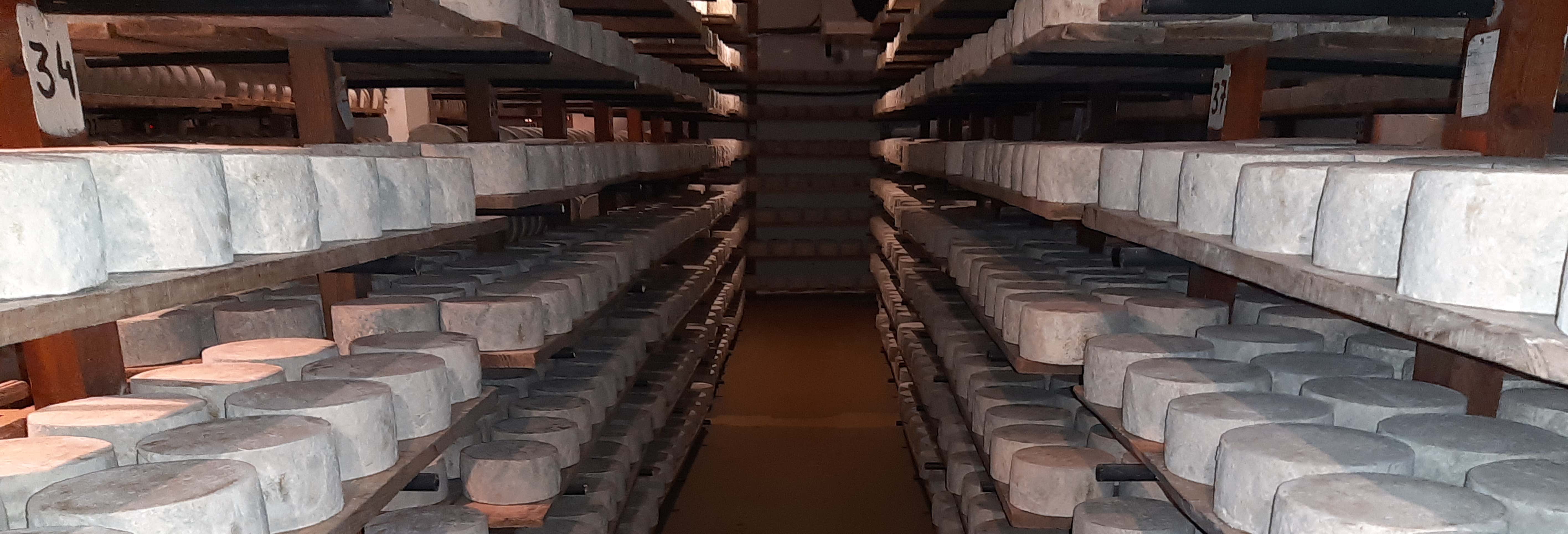 Visita al caseificio Campoveja + Laboratorio di formaggio