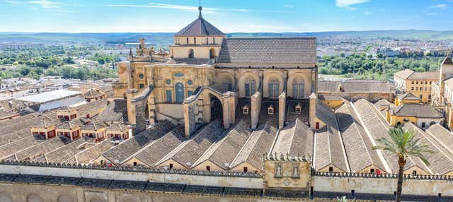 Car Rental + Driver for Private Day Trips from Seville