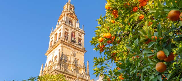 Biglietti per la Cattedrale di Siviglia e la Giralda con audioguida