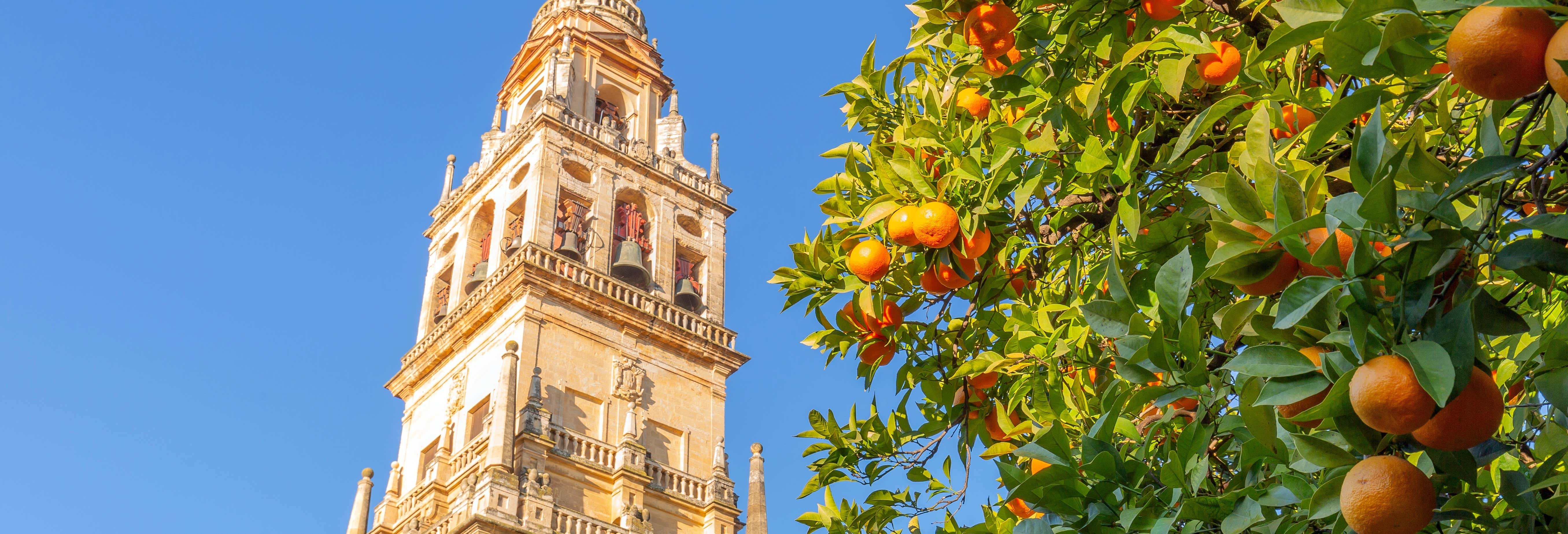 Biglietti per la Cattedrale di Siviglia e la Giralda con audioguida