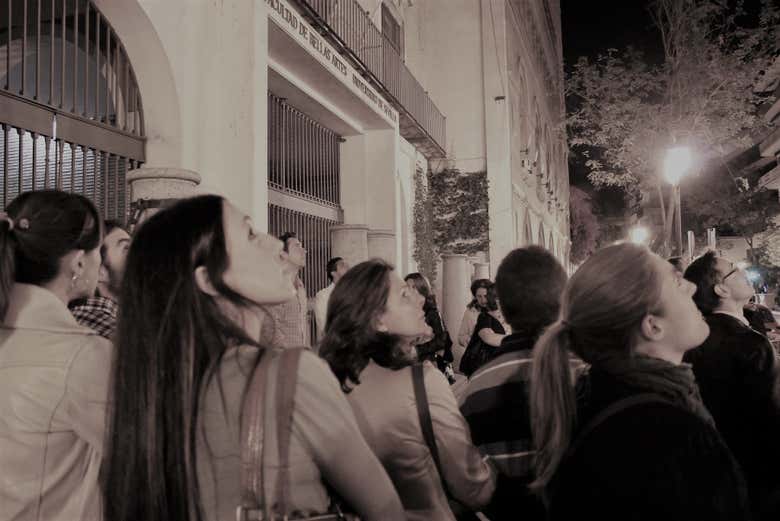 Imagen 5