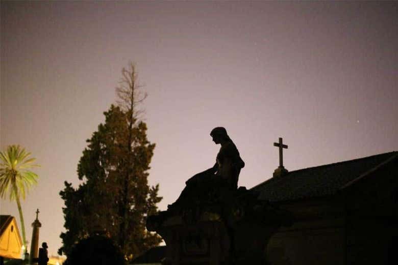 Imagen 6