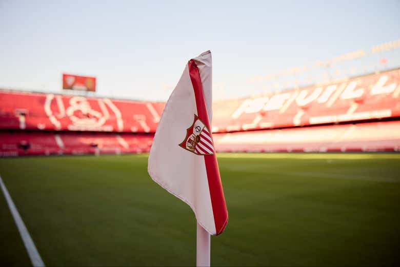 Imagen 8