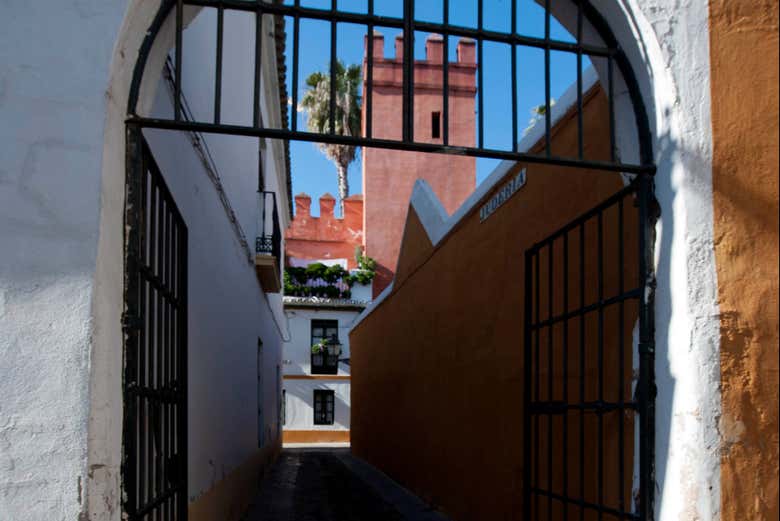 Imagen 3