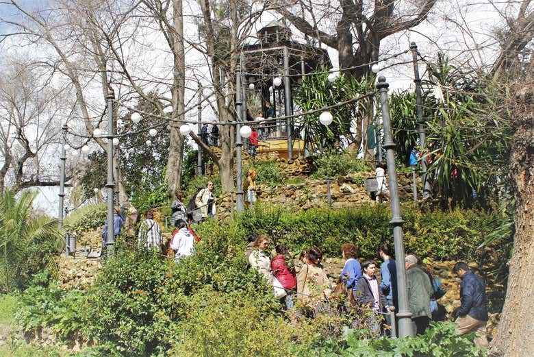 Imagen 6