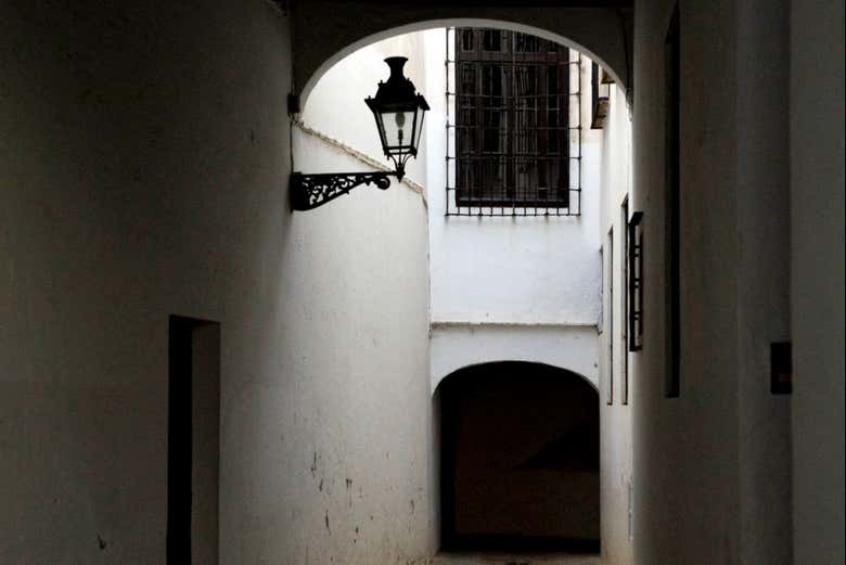 Imagen 4