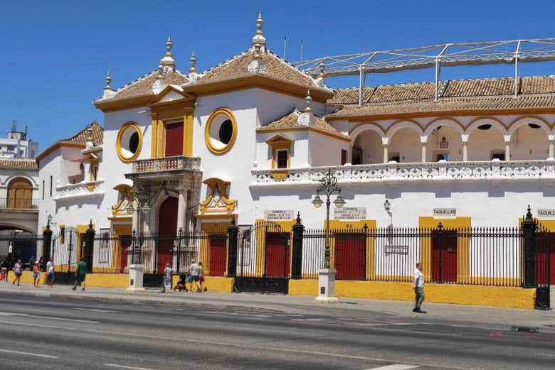 Imagen 6