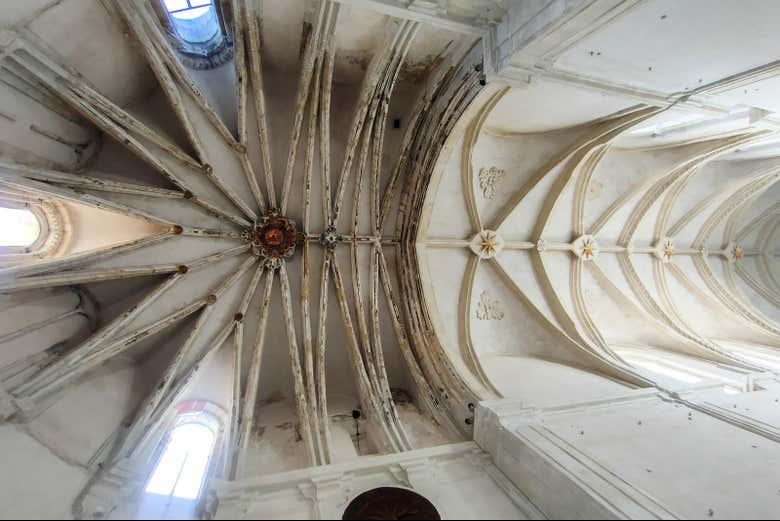 Imagen 3