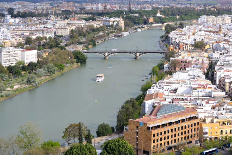 Imagen 6