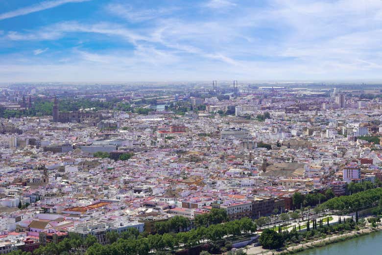 Imagen 6