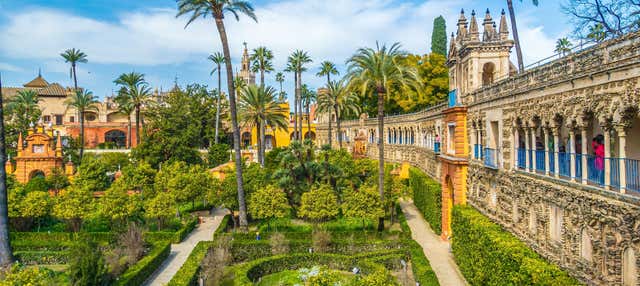 Tour dell'Alcázar, la Cattedrale e la Giralda per piccoli gruppi