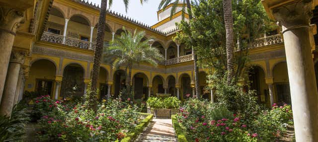 Tour della Macarena + Palacio de las Dueñas