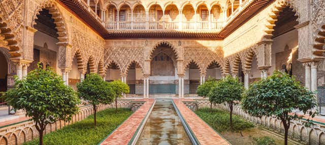Tour privato dell'Alcázar, della Cattedrale e della Giralda