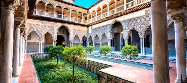 Visita guiada por el Alcázar a primera hora