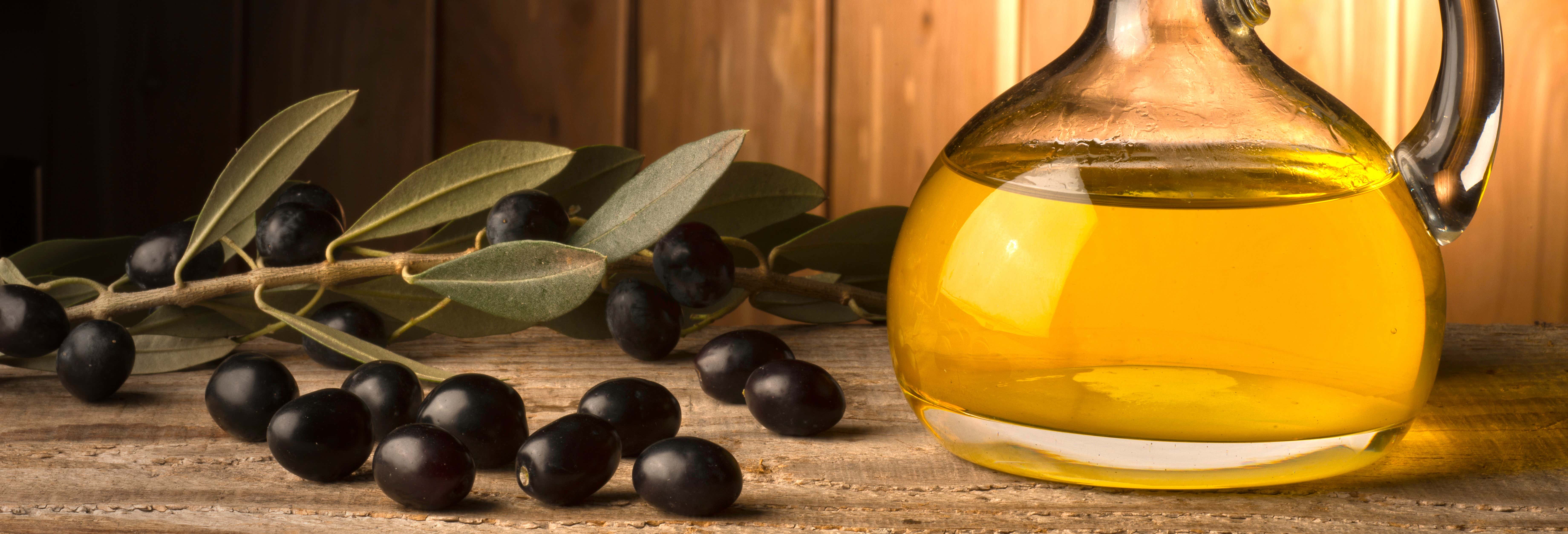 Visita guidata di un frantoio