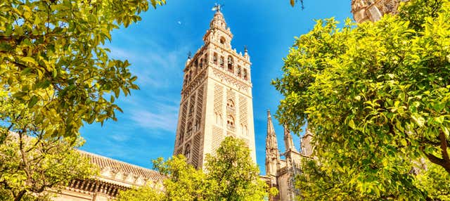 Visita guidata della Cattedrale e la Giralda per piccoli gruppi