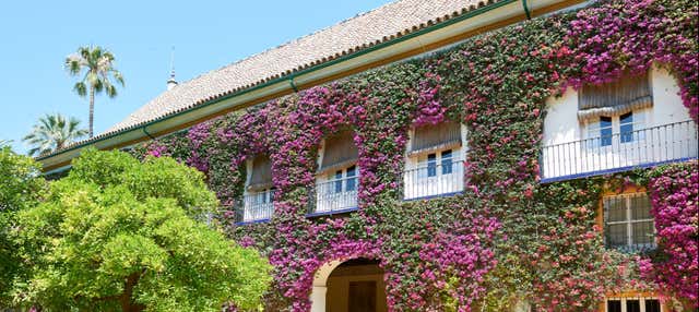 Visita guidata del Palacio de las Dueñas