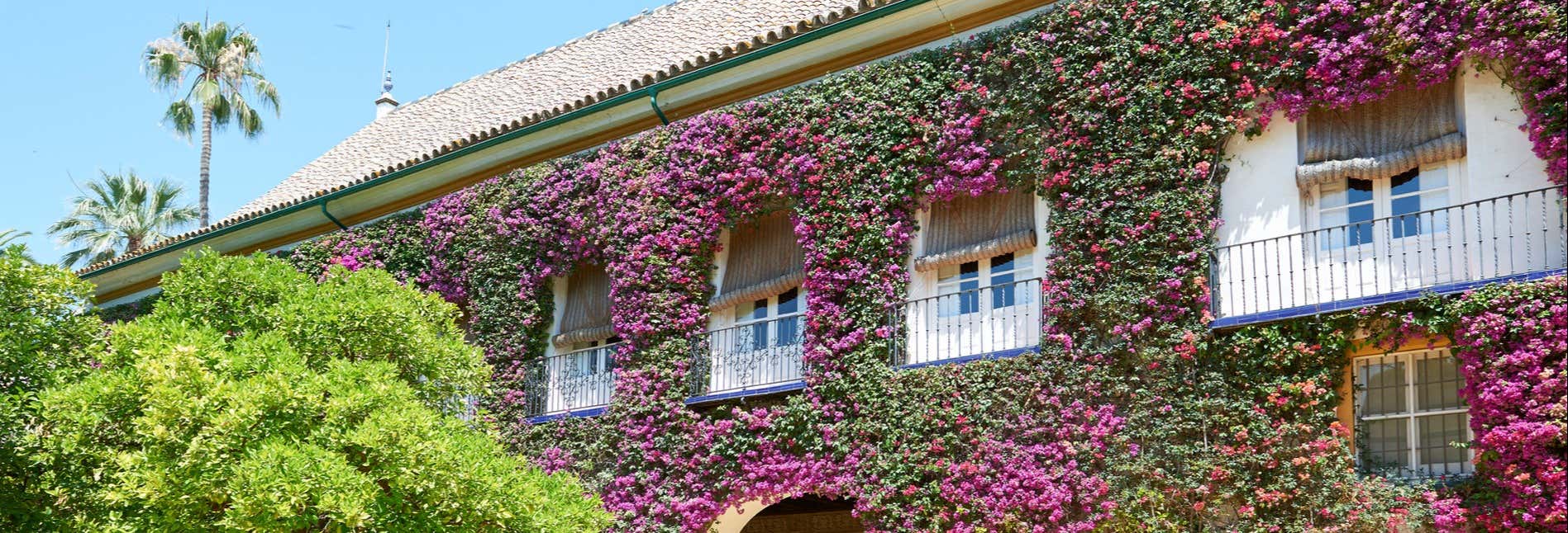 Visita guidata del Palacio de las Dueñas