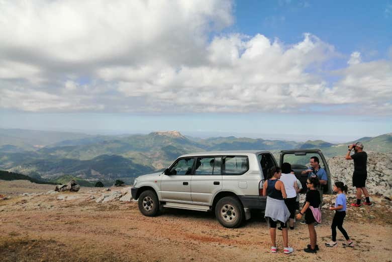Imagen 2