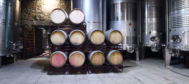 Visita alla cantina Casa Moreiras