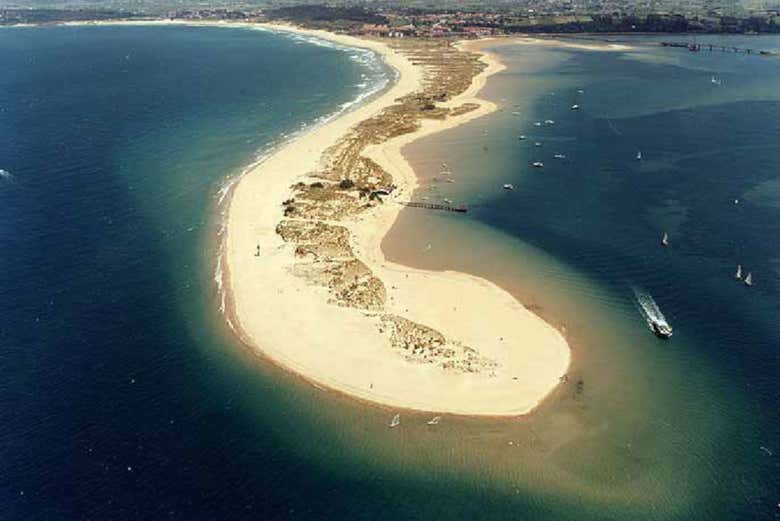 Imagen 6