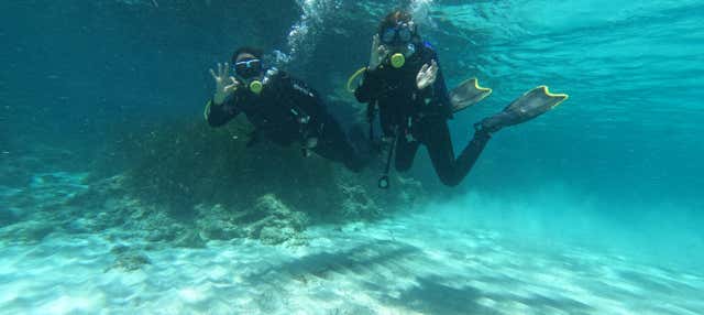 Immersione per principianti