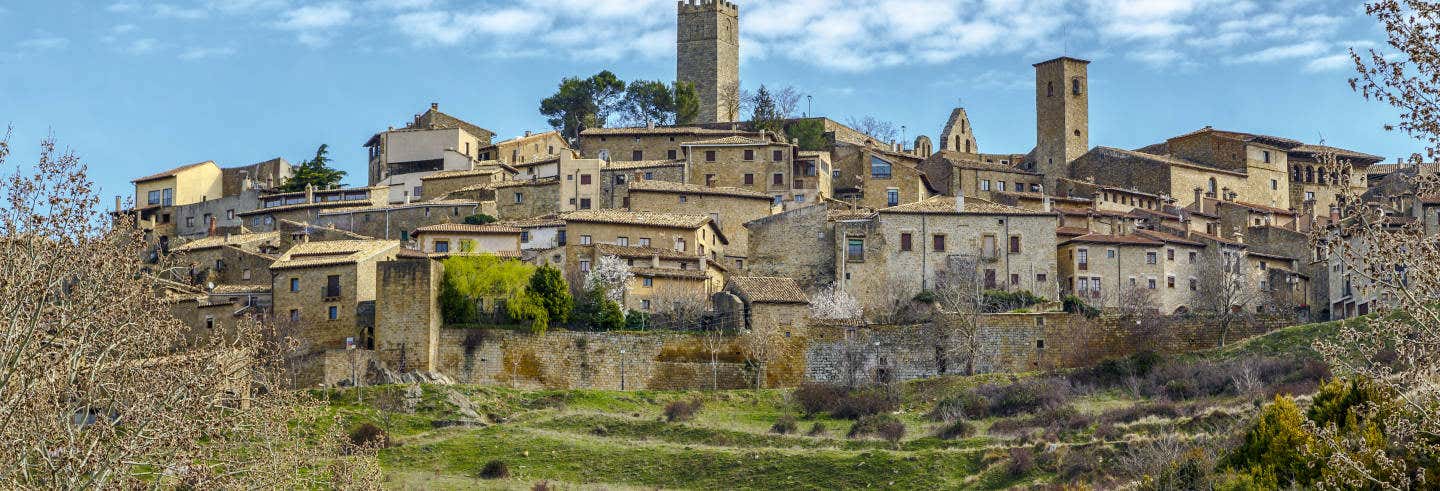 Sos del Rey Católico