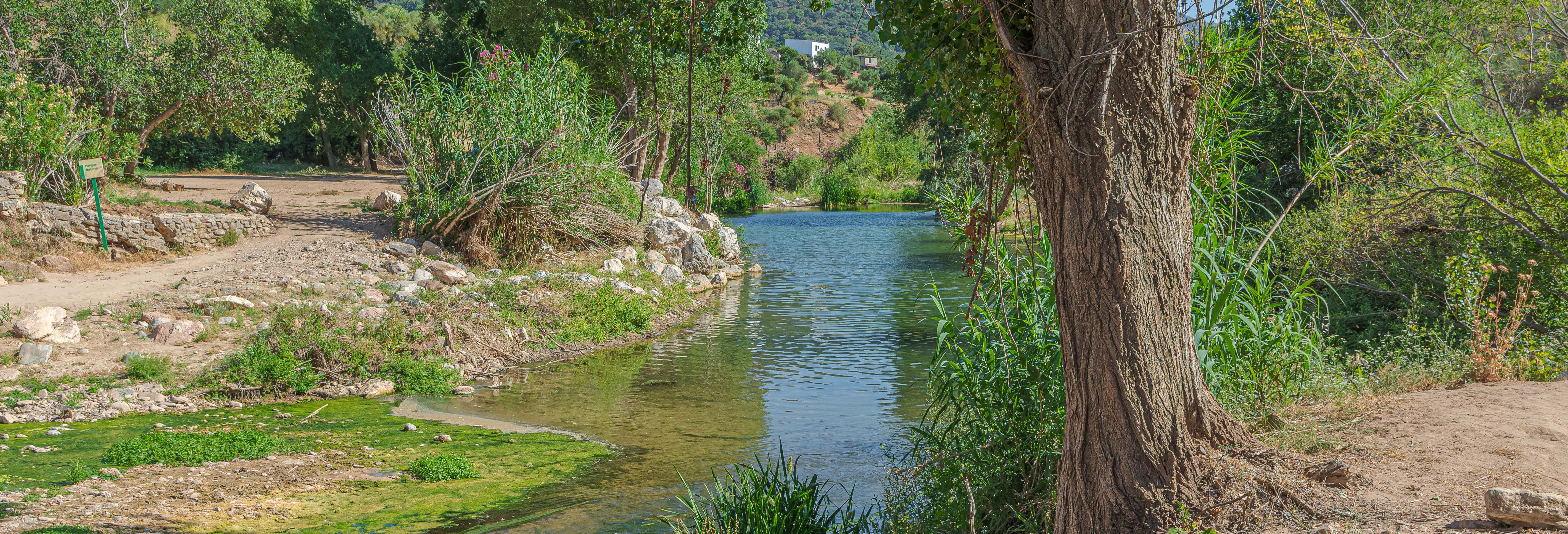 Tour in paddle surf sul fiume Guadiaro