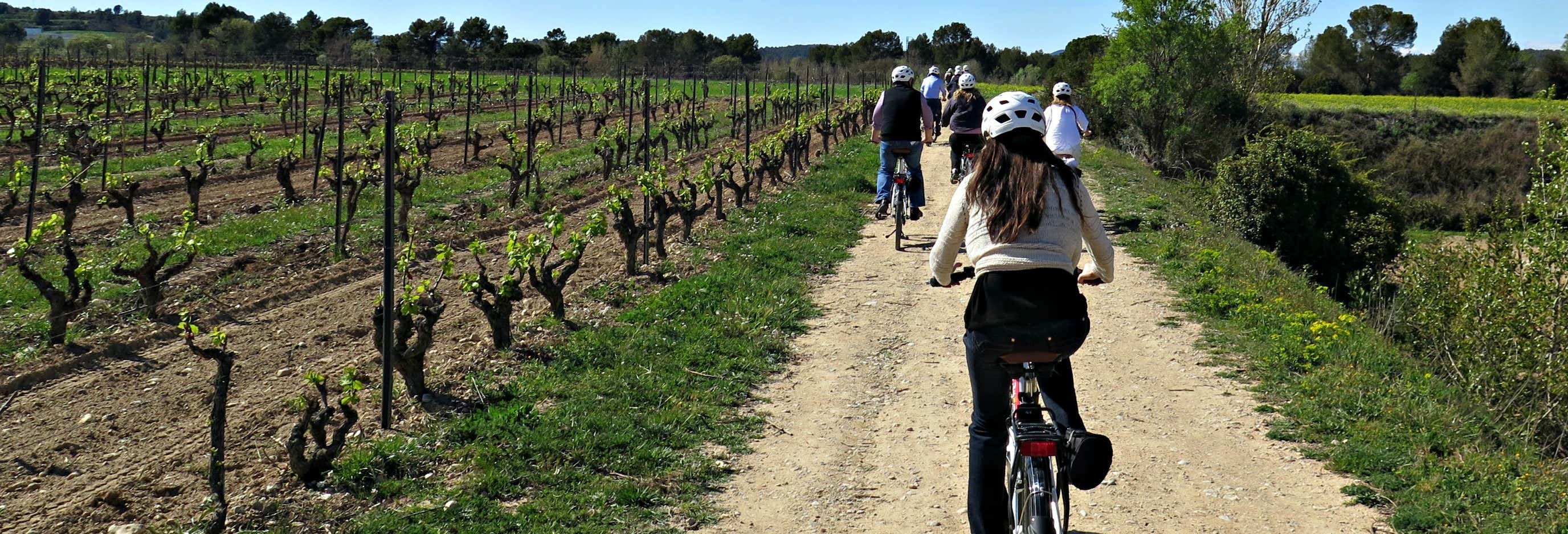 Penedes Vineyards Bike Tour