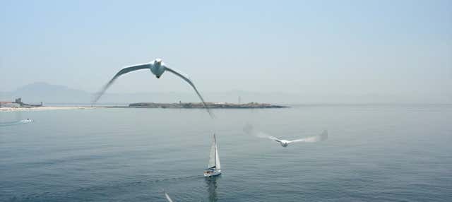 Giro in barca all'isola di Las Palomas