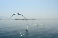 Isla de las Palomas Boat Trip