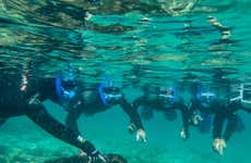 Snorkeling in the Strait Natural Park