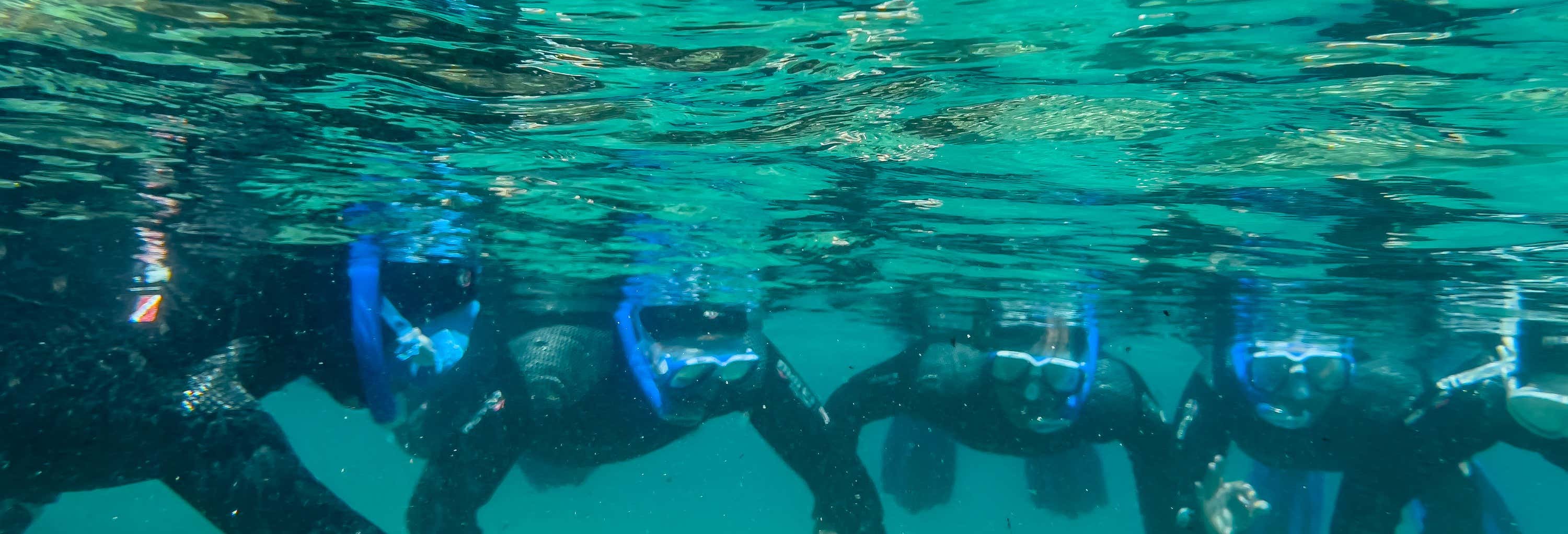 Snorkeling in the Strait Natural Park