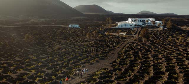 Visita alla cantina Vega de Yuco Testeina
