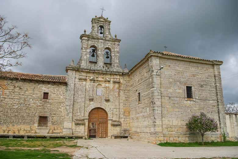 Imagen 5