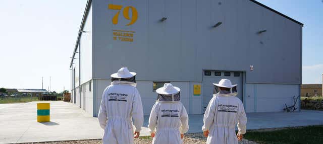 Visita di un'azienda apistica