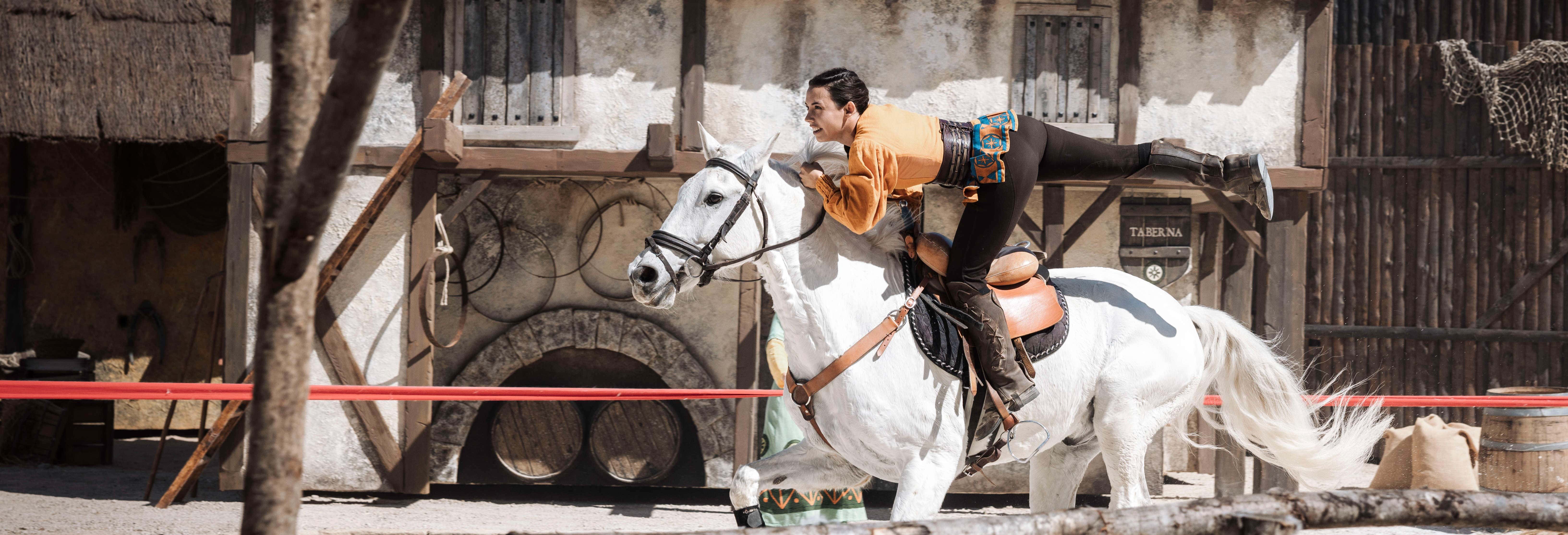 Pass Émotion du Puy du Fou Espagne