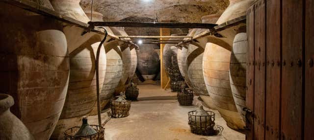 Visita alle grotte-cantine di Tomelloso