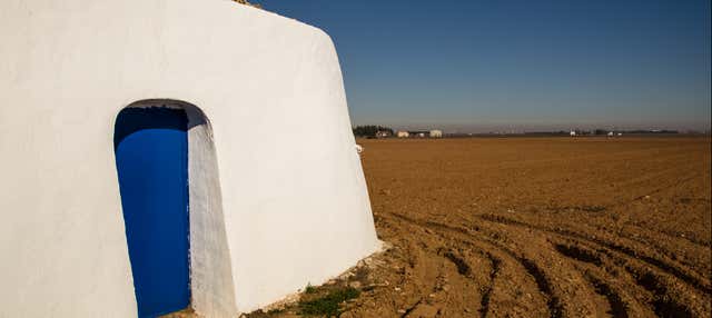 Visita guidata di Tomelloso