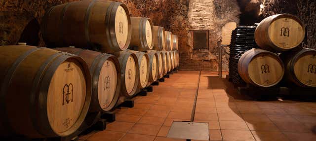 Visita della cantina Muelas