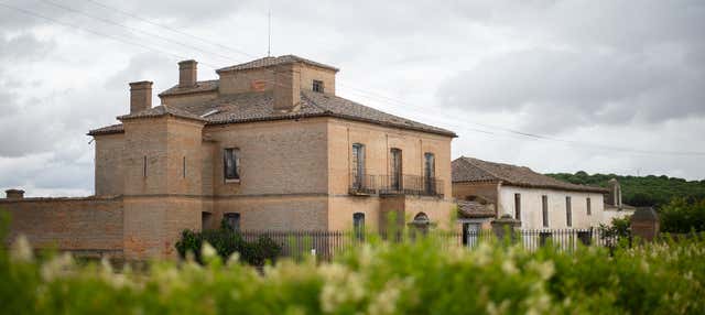 Visita della cantina Palacio de Villachica