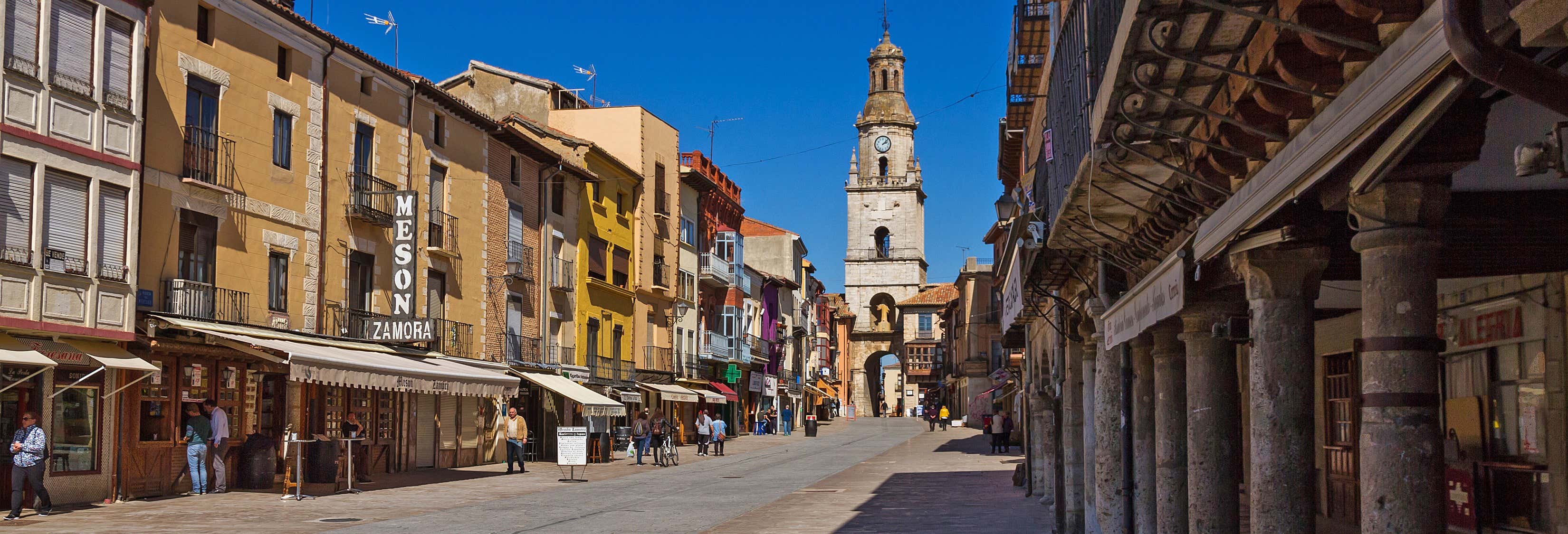 Visita guidata di Toro  e di una cantina tradizionale
